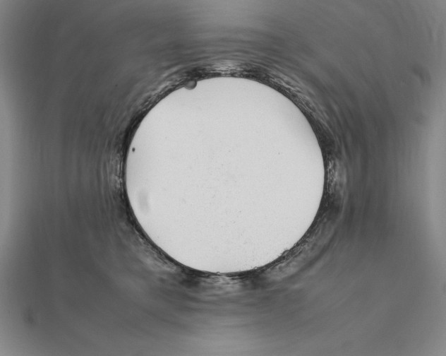 X0000112110421200909011150