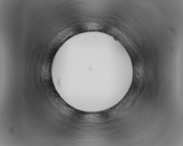 X0000112110422200909011150