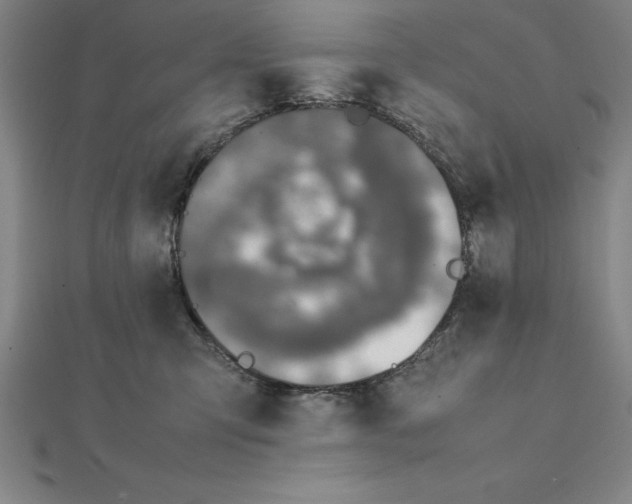 X0000112110423200909011150