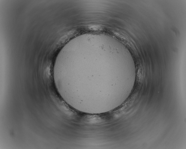X0000112110424200909011150