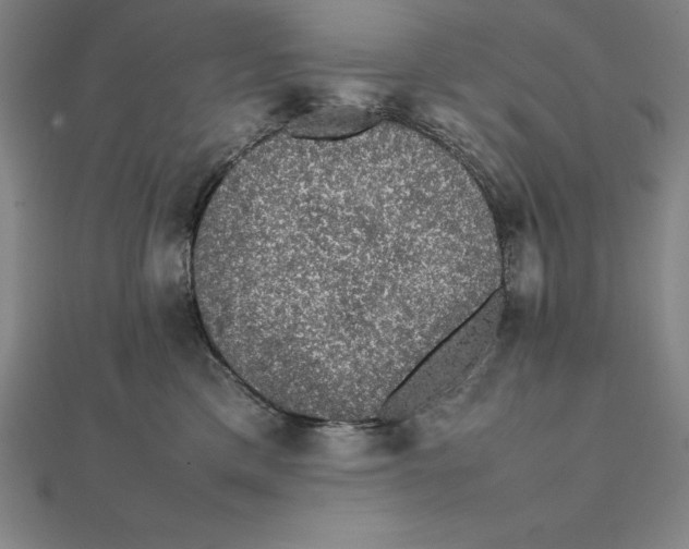 X0000112110425200909011150