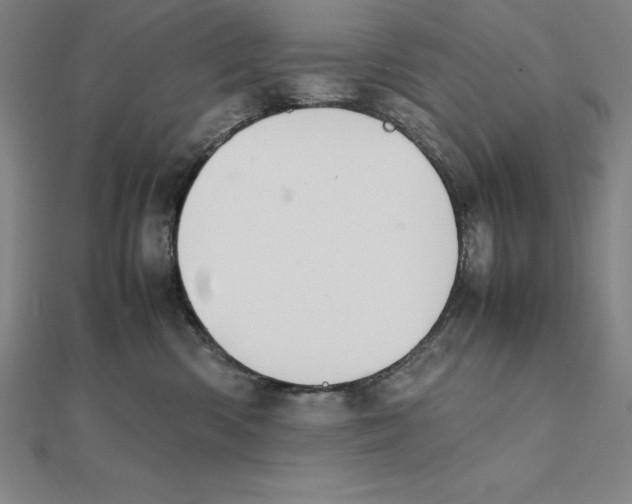 X0000112110426200909011150