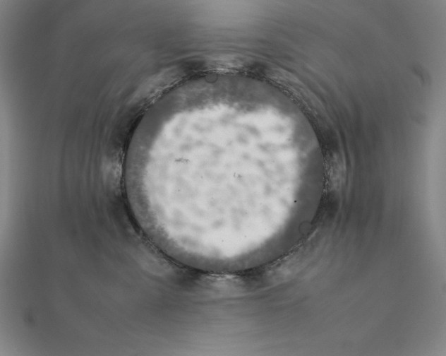 X0000112110427200909011149