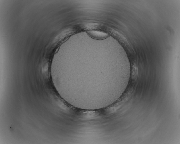 X0000112110428200909011149