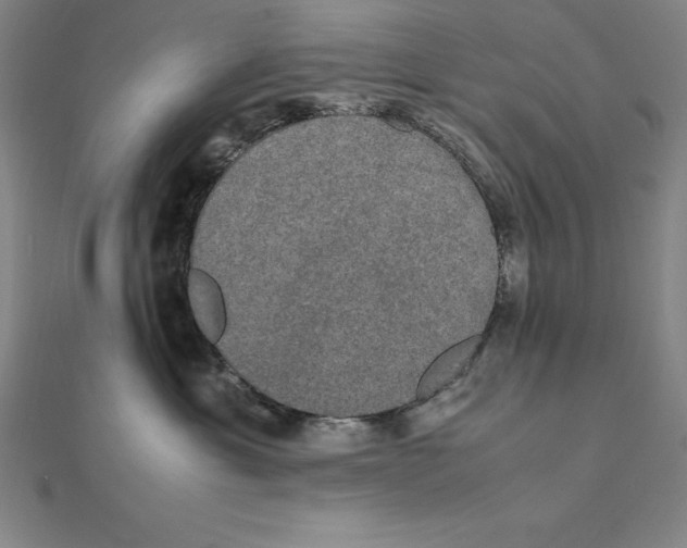 X0000112110429200909011149
