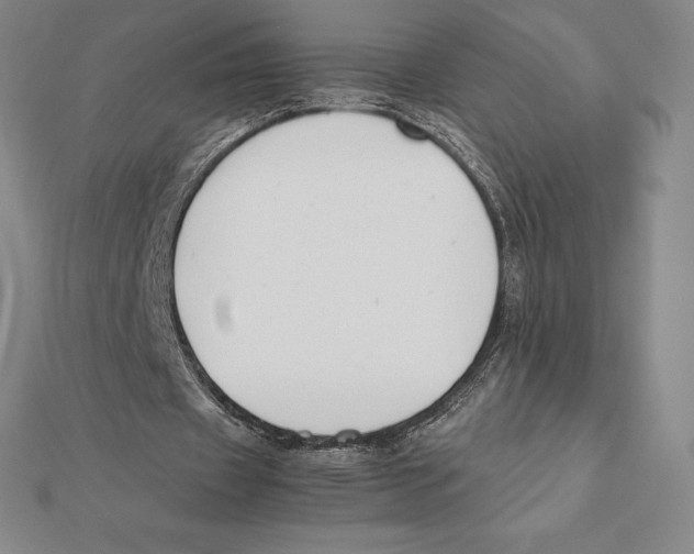 X0000112110433200909011149