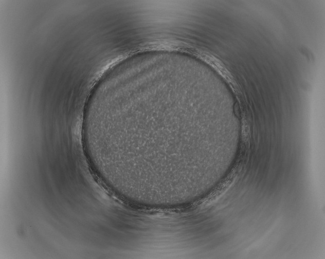 X0000112110434200909011149