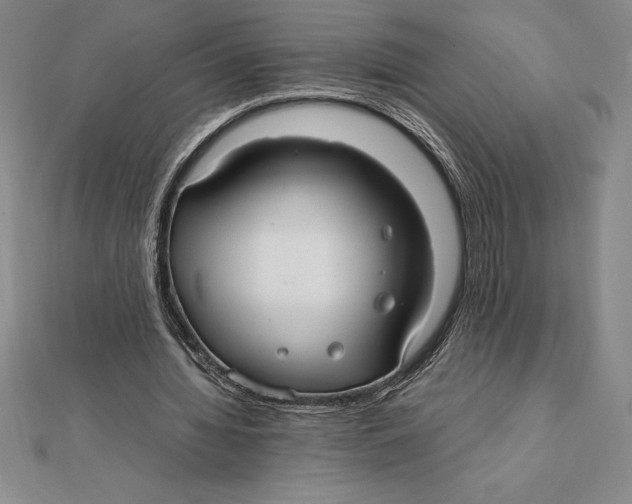 X0000112110436200909011149