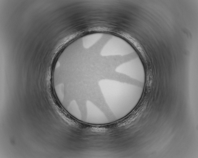 X0000112110437200909011149