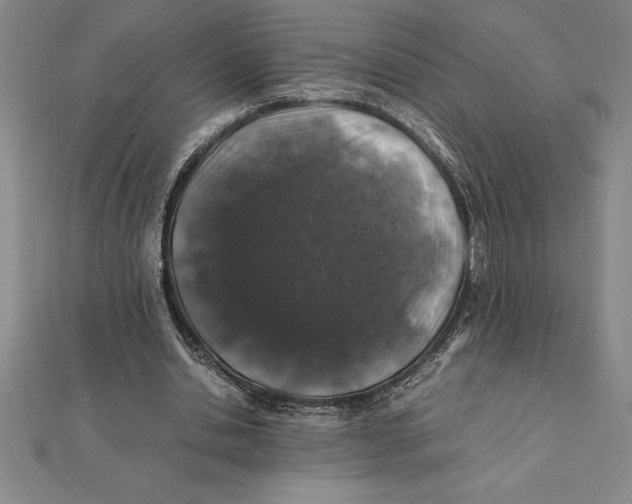 X0000112110438200909011149