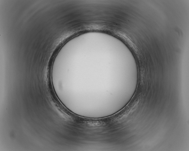 X0000112110439200909011149