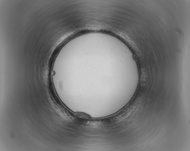 X0000112110440200909011149