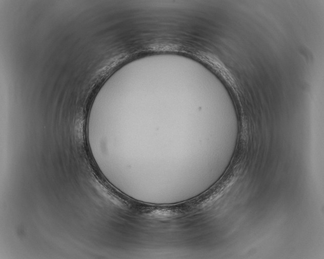 X0000112110441200909011149