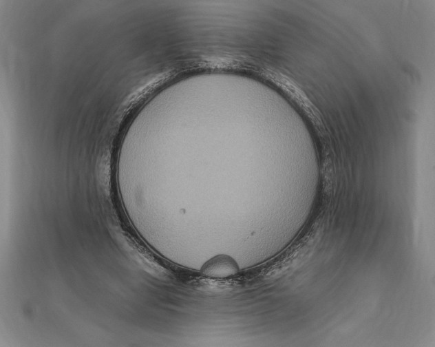 X0000112110442200909011149