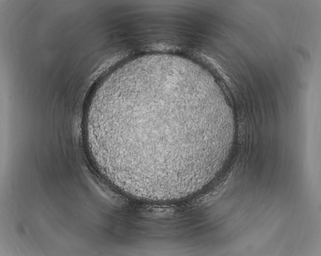 X0000112110443200909011149