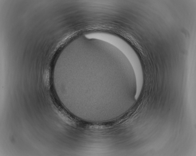 X0000112110444200909011149