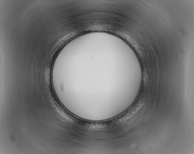 X0000112110445200909011149