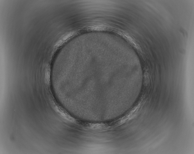X0000112110446200909011149