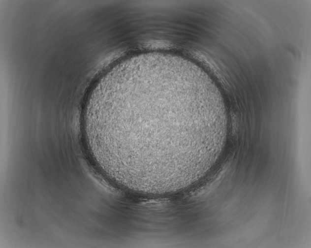 X0000112110447200909011149