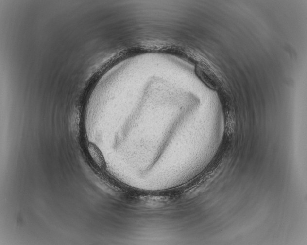 X0000112110448200909011149