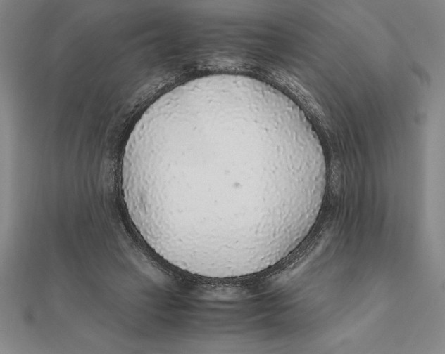 X0000112110449200909011149