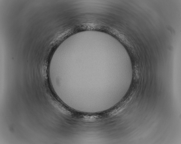 X0000112110450200909011149