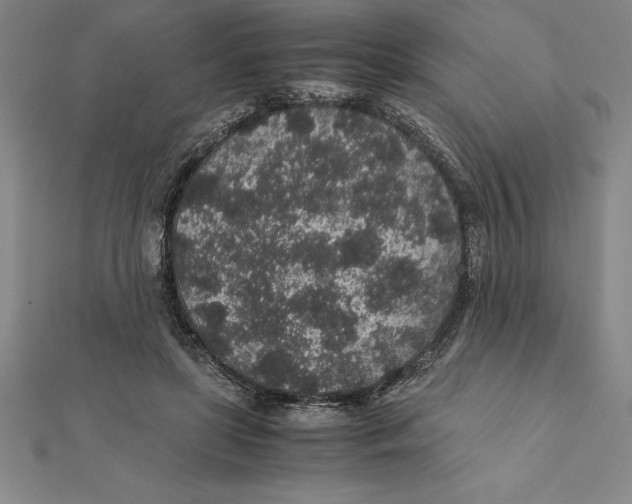 X0000112110451200909011149