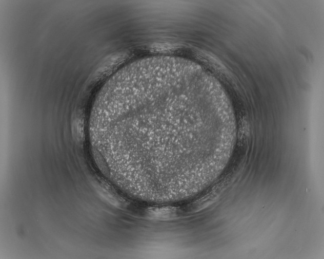 X0000112110452200909011149