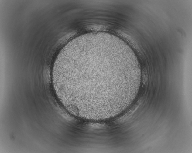 X0000112110453200909011149