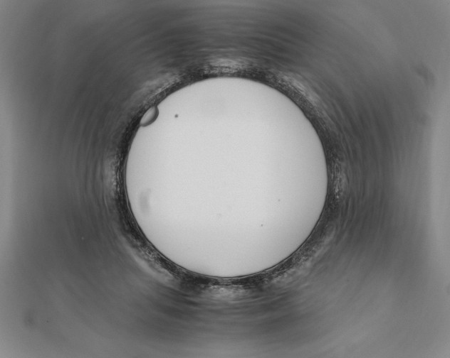 X0000112110455200909011149