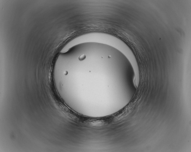 X0000112110456200909011149
