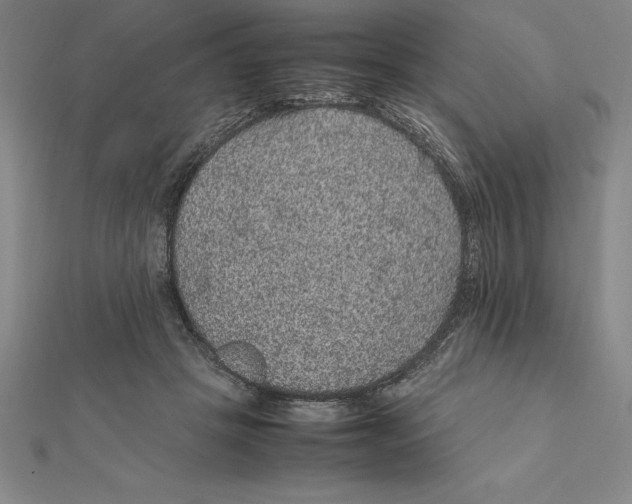 X0000112110457200909011149