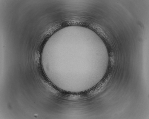 X0000112110458200909011149