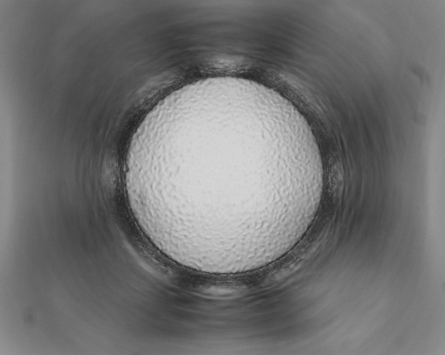 X0000112110459200909011149