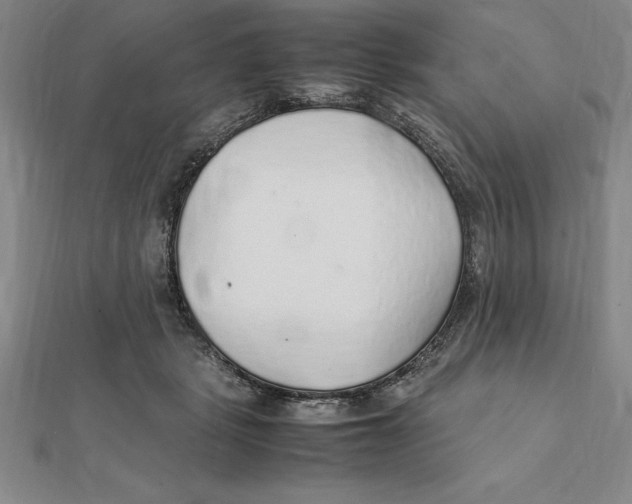 X0000112110461200909011149