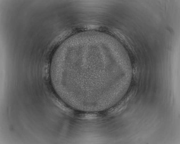 X0000112110462200909011149
