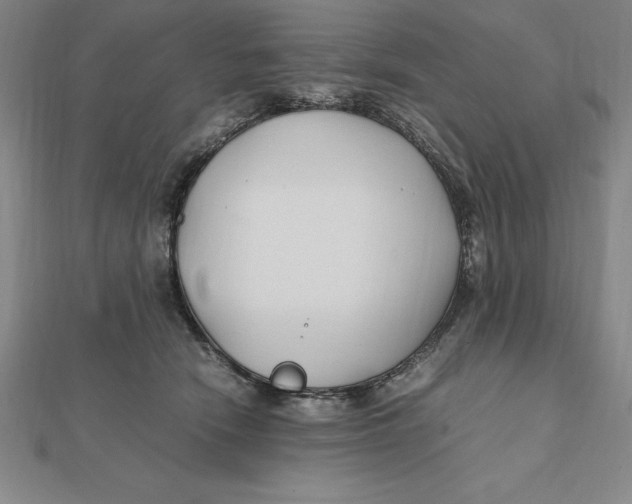 X0000112110466200909011149