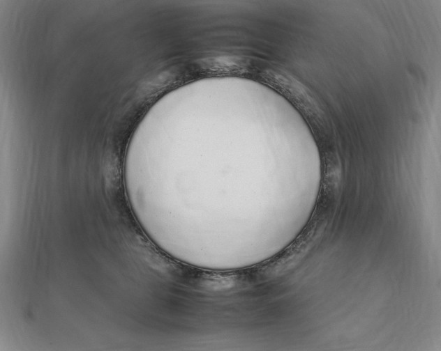 X0000112110469200909011149
