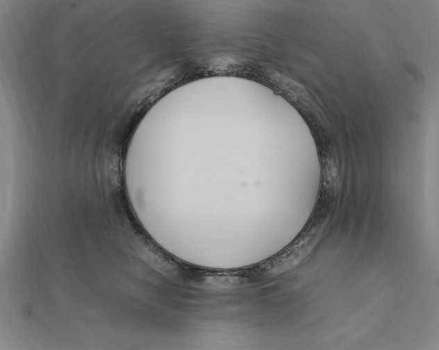X0000112110470200909011149