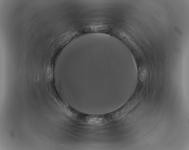 X0000112110471200909011149