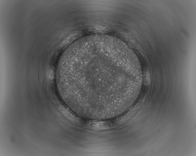 X0000112110472200909011149