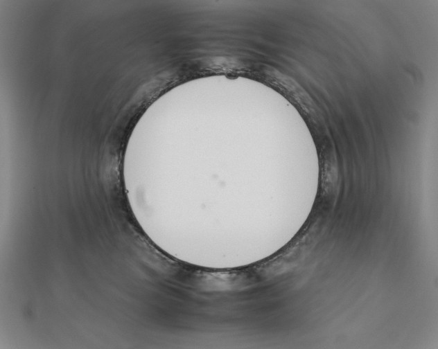X0000112110473200909011149