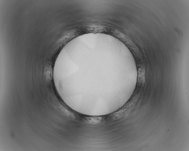 X0000112110474200909011149