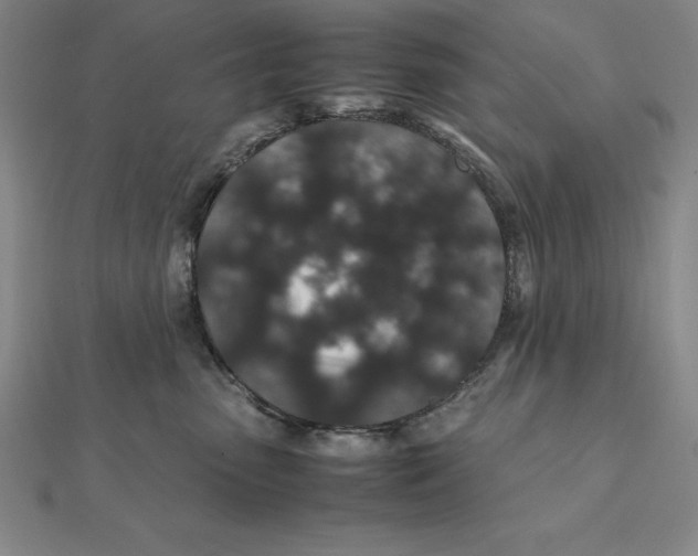X0000112110475200909011149