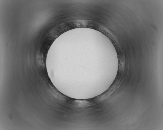 X0000112110477200909011149