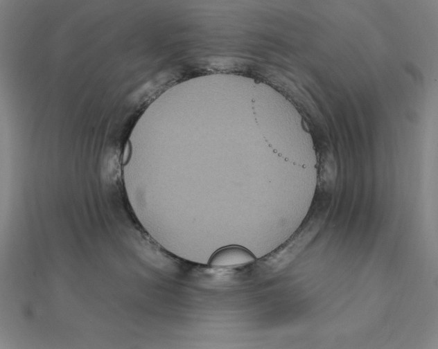 X0000112110478200909011149