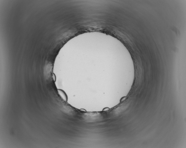 X0000112110480200909011149