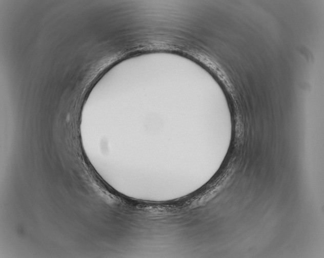 X0000112110481200909011149
