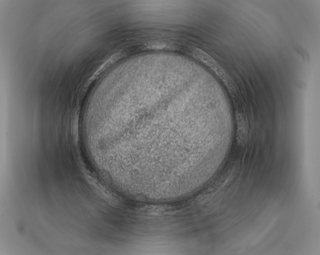 X0000112110482200909011149