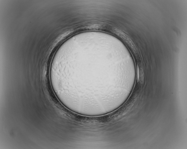 X0000112110483200909011149